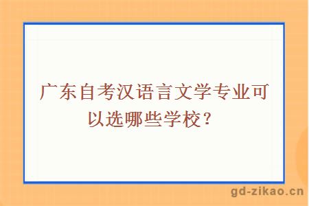 广东自考汉语言文学专业可以选哪些学校？