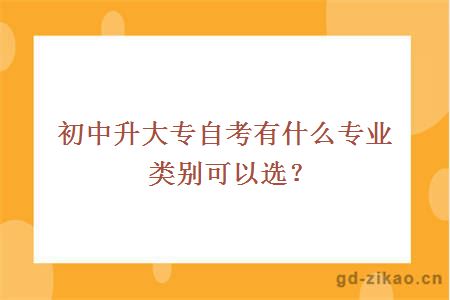 初中升大专自考有什么专业类别可以选？