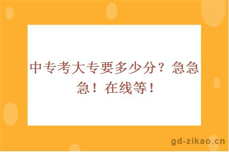 中专考大专要多少分？急急急！在线等！