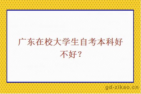 广东在校大学生自考本科好不好？