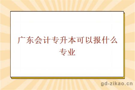 广东会计专升本可以报什么专业