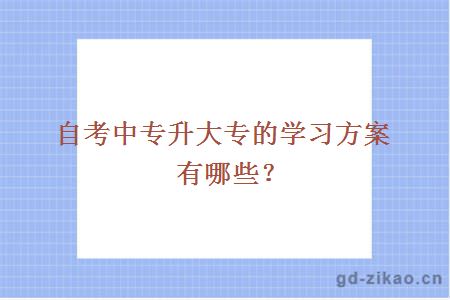 自考中专升大专的学习方案有哪些？