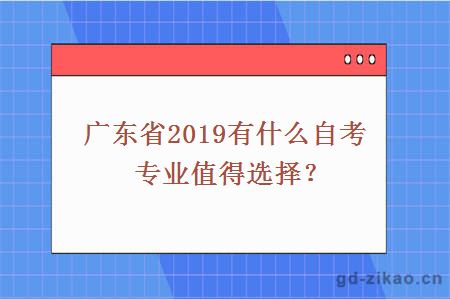 广东省2019有什么自考专业值得选择？