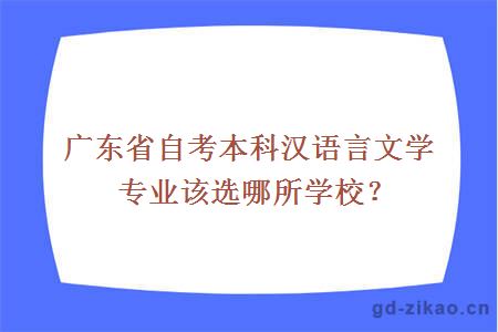 广东省自考本科汉语言文学专业该选哪所学校？
