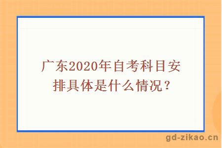 广东2020年自考科目安排具体是什么情况？