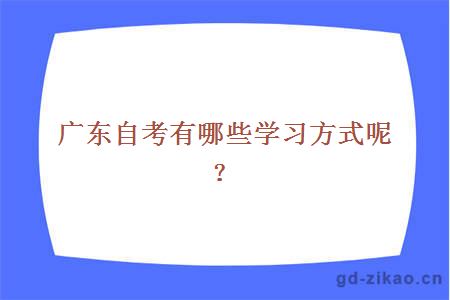 广东自考有哪些学习方式呢？