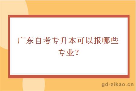 广东自考专升本可以报哪些专业？