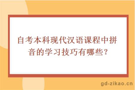 自考本科现代汉语课程中拼音的学习技巧有哪些？