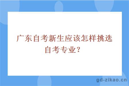 广东自考新生应该怎样挑选自考专业？
