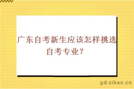 广东自考新生应该怎样挑选自考专业？