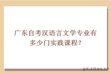 广东自考汉语言文学专业有多少门实践课程？