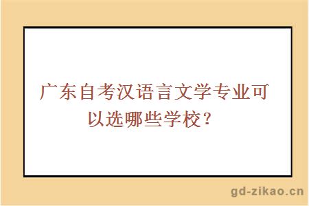 广东自考汉语言文学专业可以选哪些学校？
