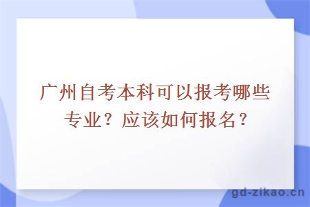 广州自考本科可以报考哪些专业？应该如何报名？