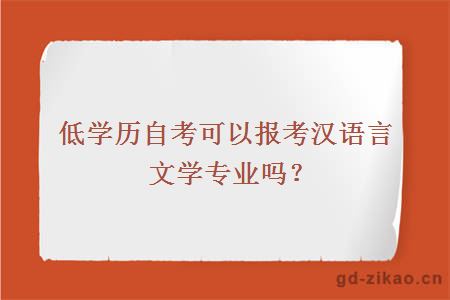 低学历自考可以报考汉语言文学专业吗？