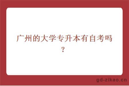 广州的大学专升本有自考吗？