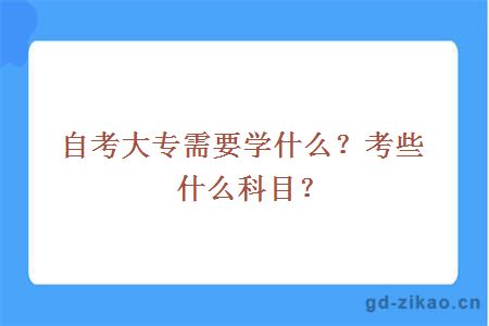 自考大专需要学什么？考些什么科目？