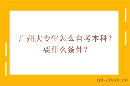 广州大专生怎么自考本科？要什么条件？