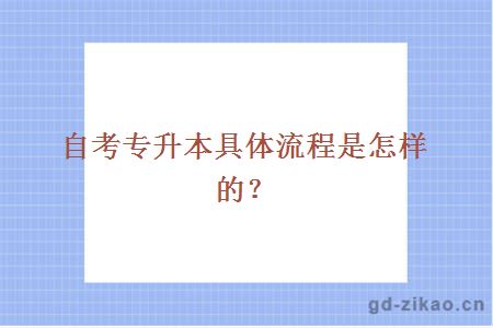 自考专升本具体流程是怎样的？