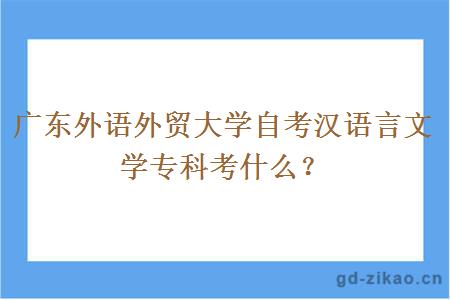 广东外语外贸大学自考汉语言文学专科考什么？