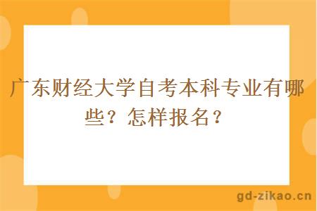 广东财经大学自考本科专业有哪些？怎样报名？