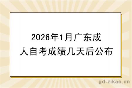 2026年1月广东成人自考成绩几天后公布？查分时间表及提醒！