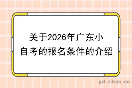 关于2026年广东小自考的报名条件的介绍