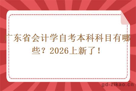 广东省会计学自考本科科目有哪些？2026上新了！