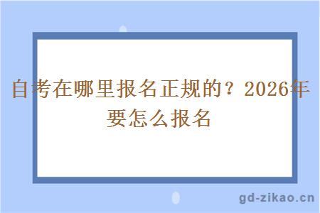 自考在哪里报名正规的？2026年要怎么报名