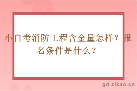 小自考消防工程含金量怎样？报名条件是什么？