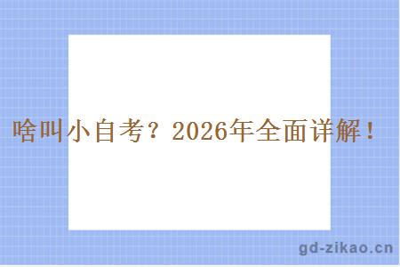 啥叫小自考？2026年全面详解！